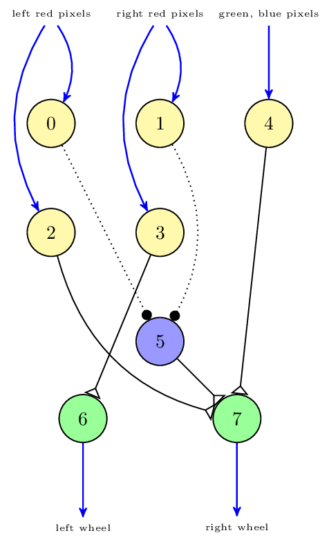 ../../../../../_images/braitenberg_network.png
